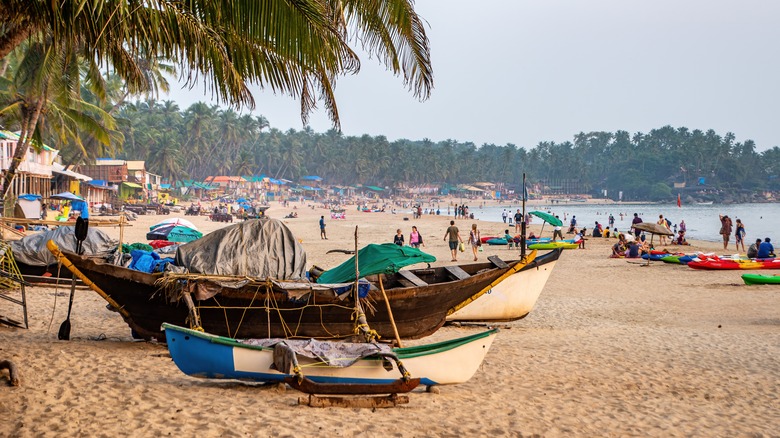 Beach Paradise